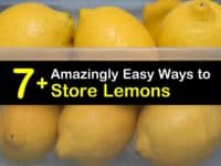 How to Store Lemons titleimg1