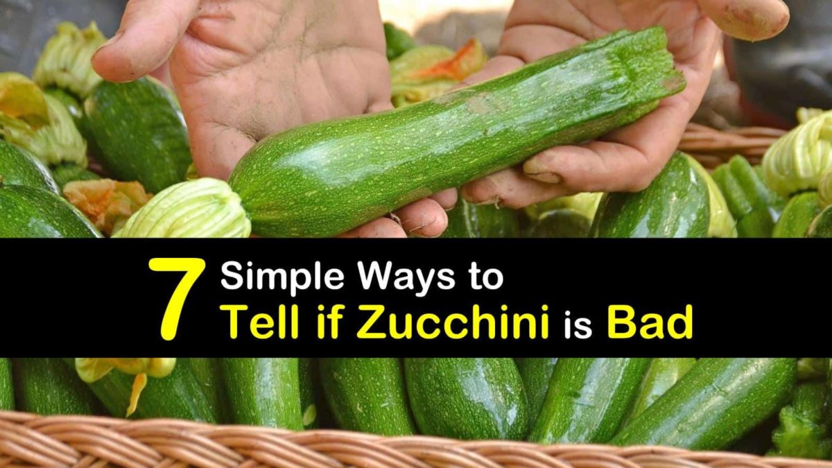 7 Simple Ways To Tell If Zucchini Is Bad 7 Simple Ways To Tell If Zucchini Is Bad