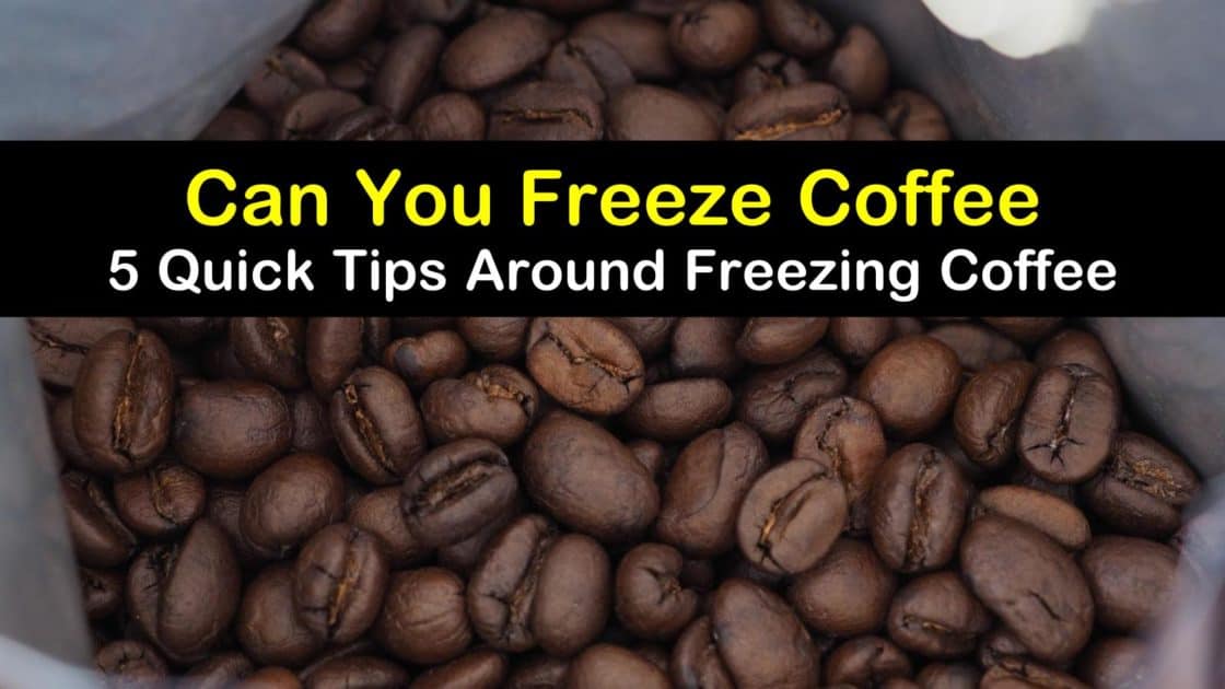 Can You Freeze Coffee 5 Quick Tips Around Freezing Coffee