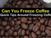 Can You Freeze Coffee titleimg1