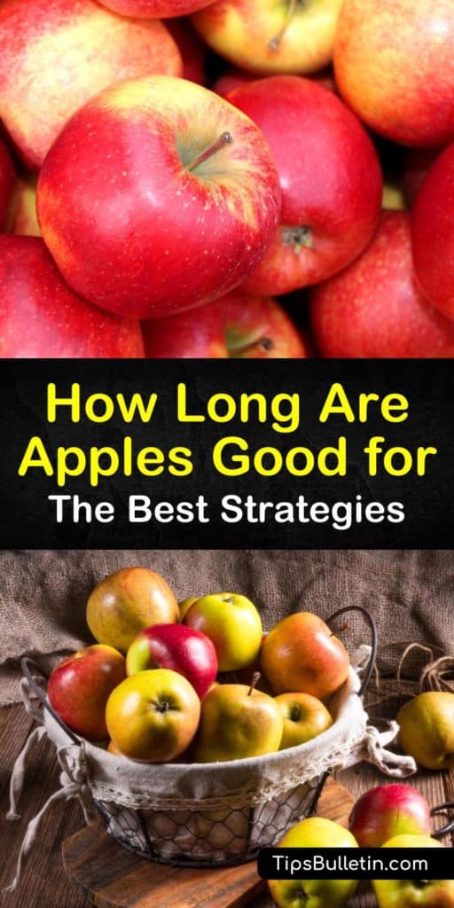 Want to know how long are apples good for? Not only does this article tell you, it also explains the best ways to preserve fresh apples at room temperature or in the fridge. We also delve into storing applesauce and learn how to make a delicious apple pie. #apples #storage #fresh #last