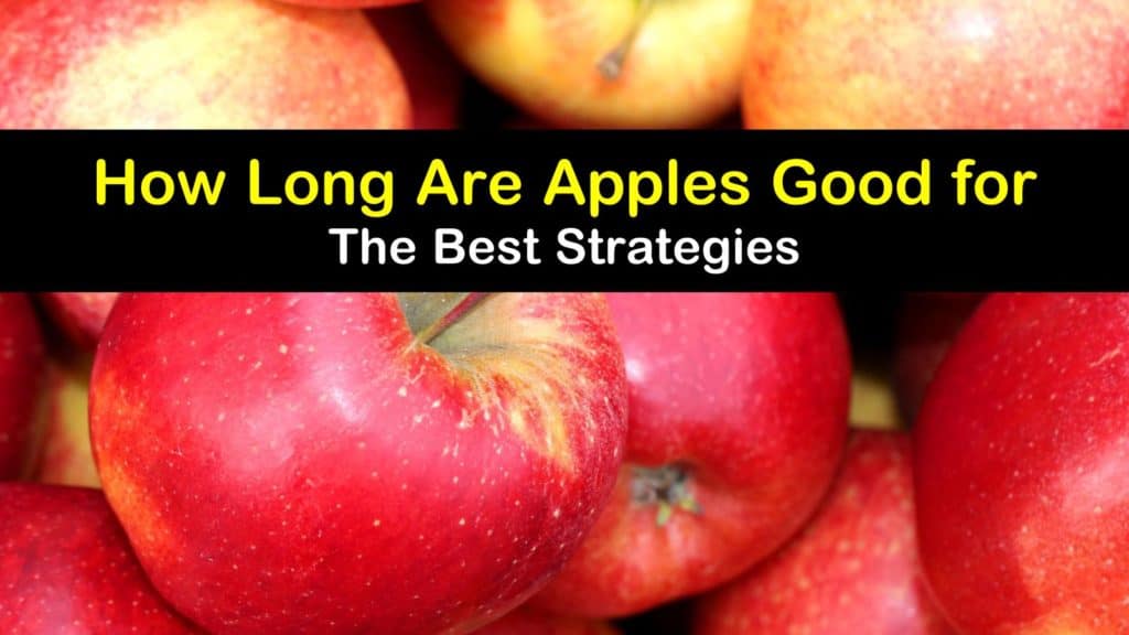How Long are Apples Good for titleimg1