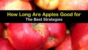 How Long are Apples Good for titleimg1