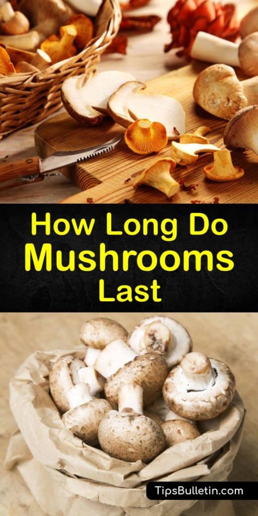 Learn how to store mushrooms and prevent spoilage with these easy to follow techniques. Set fresh mushrooms and whole mushrooms on a paper towel in a paper bag to avoid dark spots, slime, and premature spoilage. Room temperature storage and a plastic bag must be avoided. #how #long #mushrooms #last