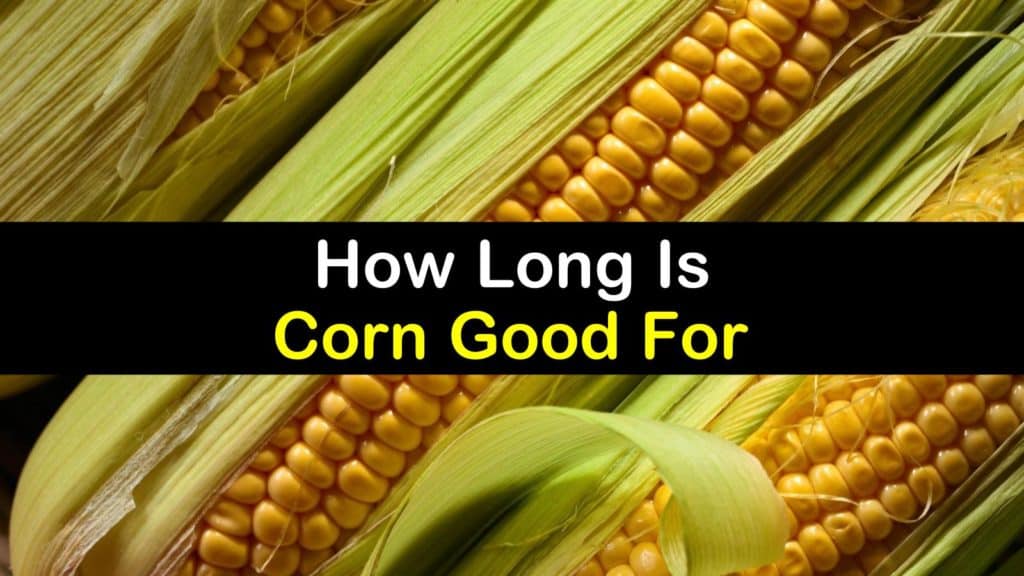 How Long is Corn Good for titleimg1