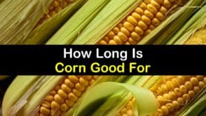 How Long is Corn Good for titleimg1