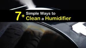 How to Clean a Humidifier titleimg1