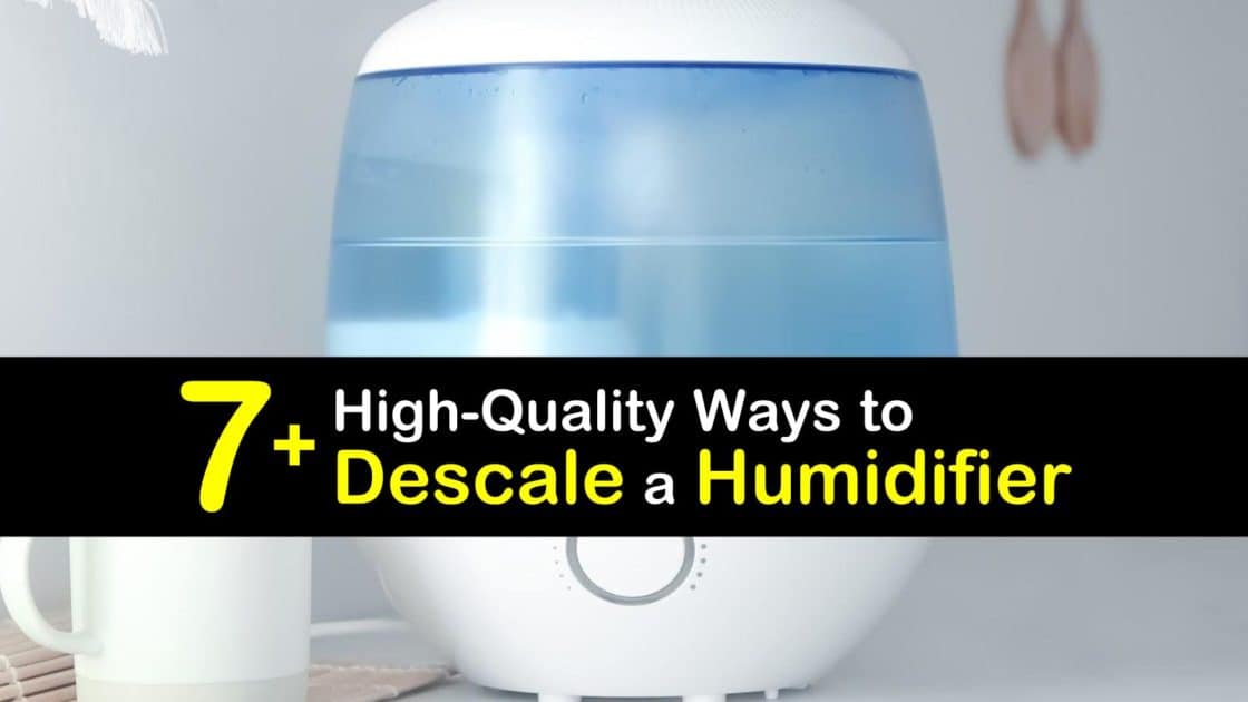 7+ HighQuality Ways to Descale a Humidifier