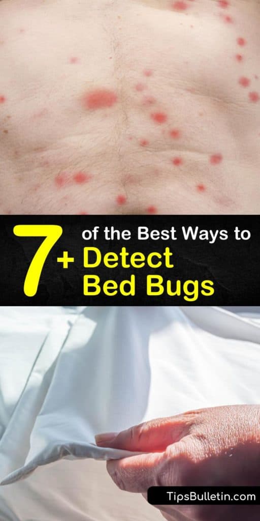 Discover all the signs of bed bugs, from blood stains on bed sheets to shedded skins. Find out how to hunt for bed bugs by swiping an old credit card in their favorite hiding places, including crevices in wooden bed frames and headboards. #bedbugs #detect #howto