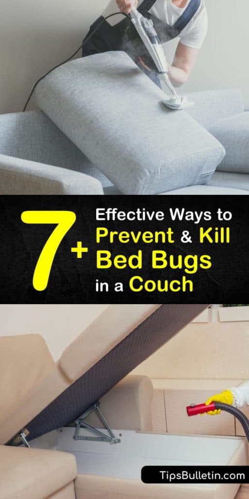 Use these tips and tricks to kill bed bugs and prevent a bed bug infestation in your couch and bed frames. Use pest control methods like insecticides, an encasement, and correct vacuuming techniques to avoid hiring an exterminator. #getridof #bedbugs #couch