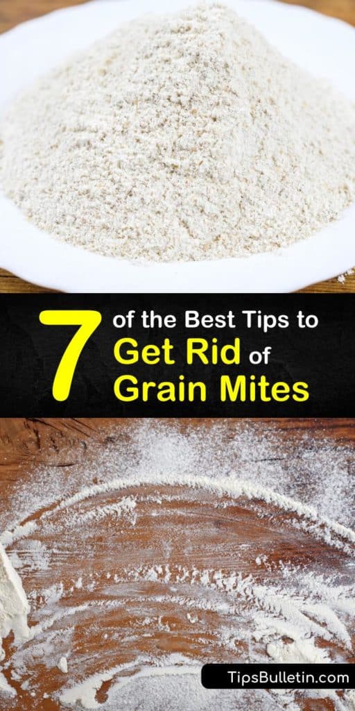 Learn how to get rid of flour mites fast with these tips and tricks. You need to act fast against a grain mite infestation, but the solutions are pretty simple - hot soapy water, bay leaves, and airtight containers. #getrid #grain #flour #mites #diy