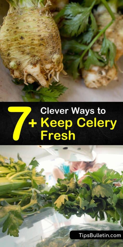 Discover how to keep celery crispy in the crisper drawer of your fridge. Keep these veggies in cold water in the fridge or wrap in foil, and avoid storing celery in the grocery store plastic bag to prevent ethylene gas from building up. #storing #celery #fresh