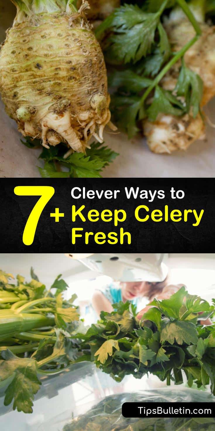 7+ Clever Ways to Keep Celery Fresh