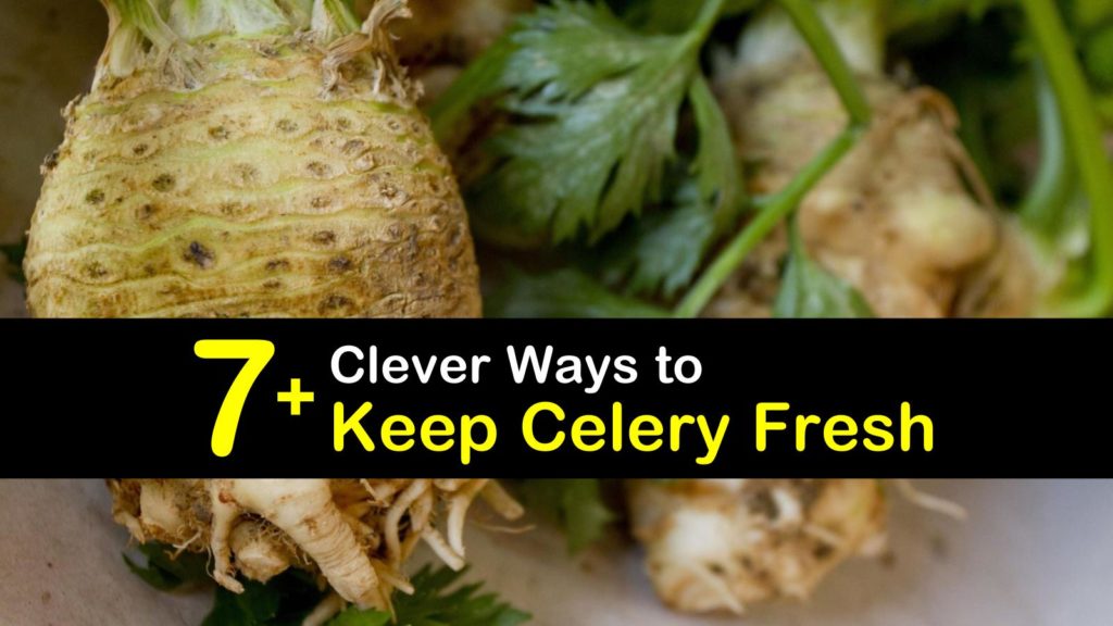 How to Keep Celery Fresh titleimg1