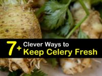 How to Keep Celery Fresh titleimg1