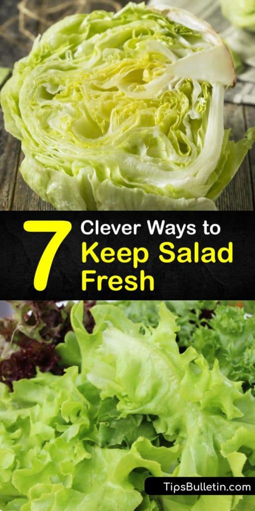 Prolong the life of your romaine, arugula, and other leafy greens when you discover the proper steps for storing veggies. These tips eliminate excess moisture in your crisper drawer and storage containers so you don’t have to deal with wilting lettuce again. #keep #salad #fresh