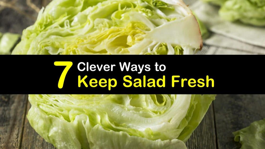 7 Clever Ways to Keep Salad Fresh