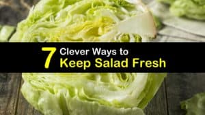 How to Keep Salad Fresh titleimg1