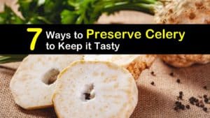How to Preserve Celery titleimg1