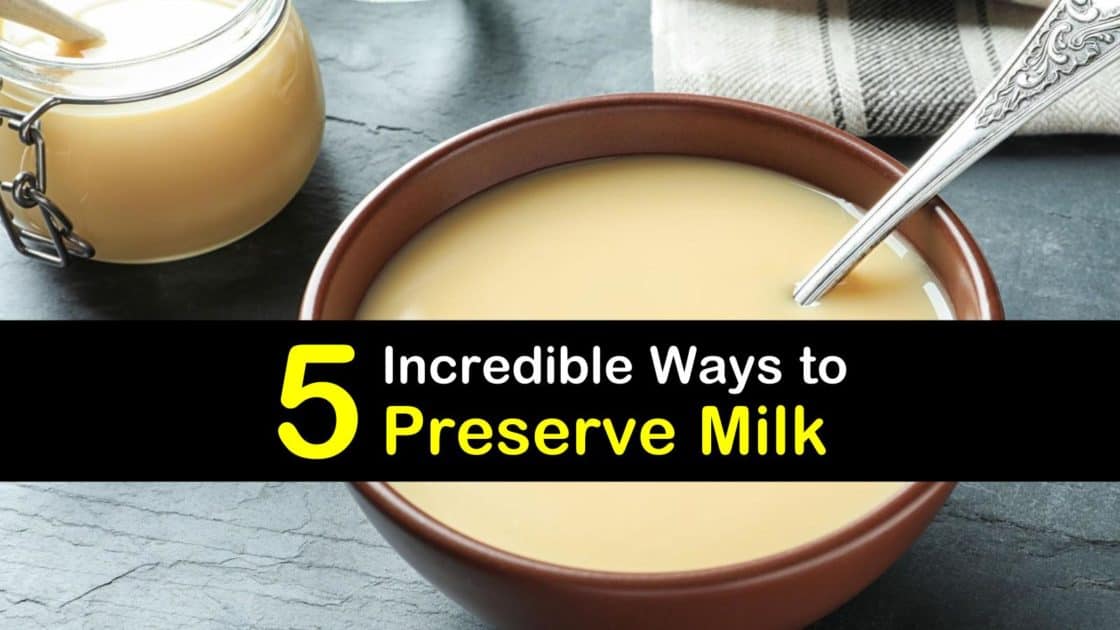 5 Incredible Ways to Preserve Milk