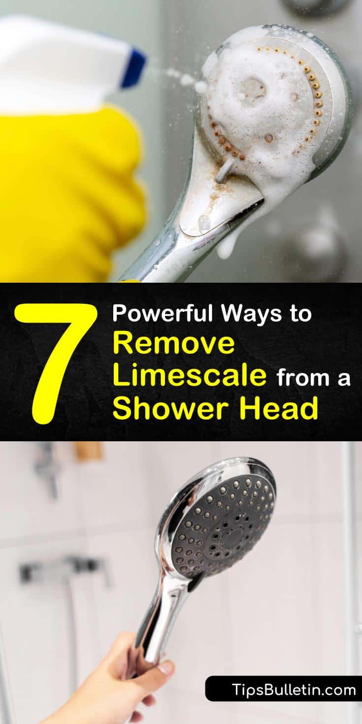 7 Powerful Ways to Remove Limescale from a Shower Head