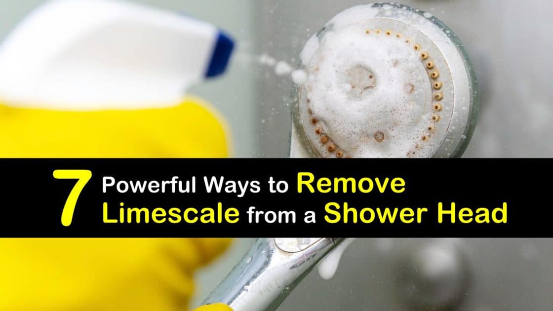 7 Powerful Ways to Remove Limescale from a Shower Head