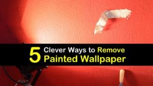 How to Remove Painted Wallpaper titleimg1