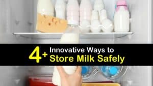 How to Store Milk titleimg1