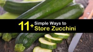How to Store Zucchini titleimg1