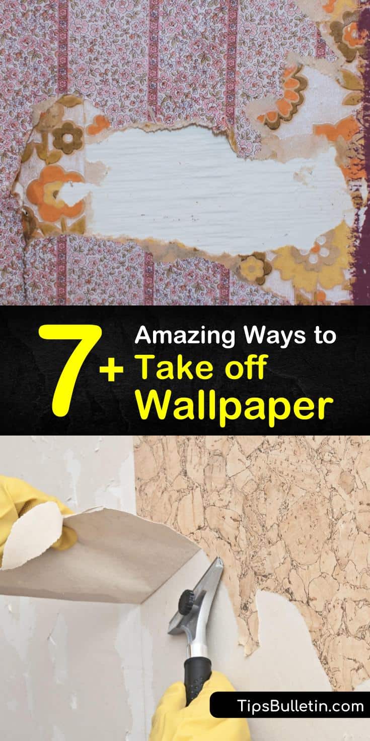7+ Amazing Ways to Take off Wallpaper