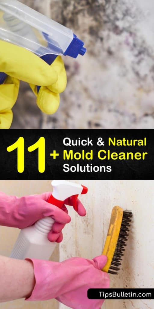 Protect your home from mildew and other natural molds by making homemade cleaning products. These DIY sprays contain hydrogen peroxide, tea tree oil, and white vinegar that work as natural antibacterial agents to kill mold spores spreading through your home. #natural #mold #cleaner