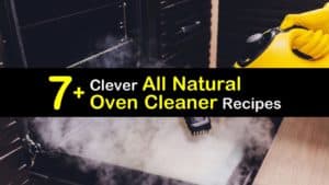 all natural oven cleaner recipe titleimg1