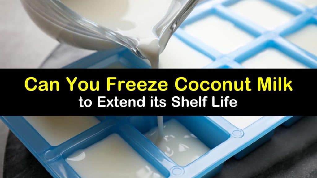 Can You Freeze Coconut Milk titleimg1