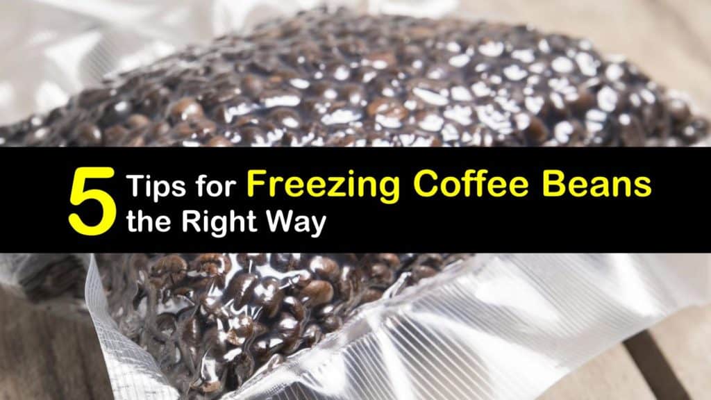 Can You Freeze Coffee Beans