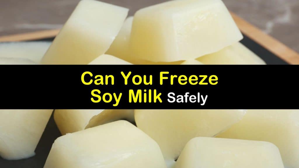 Can You Freeze Soy Milk titleimg1