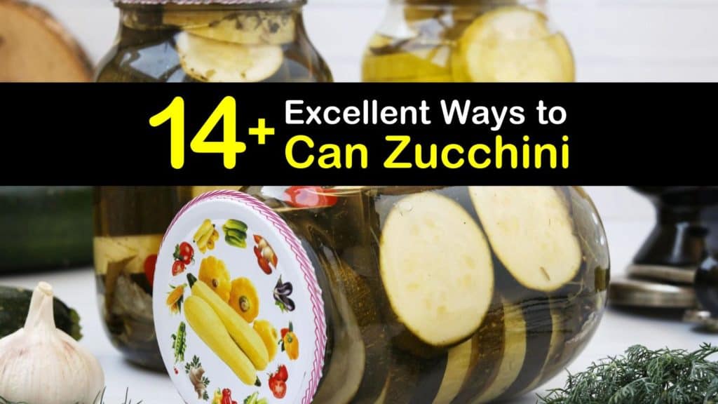 Canning Zucchini titleimg1