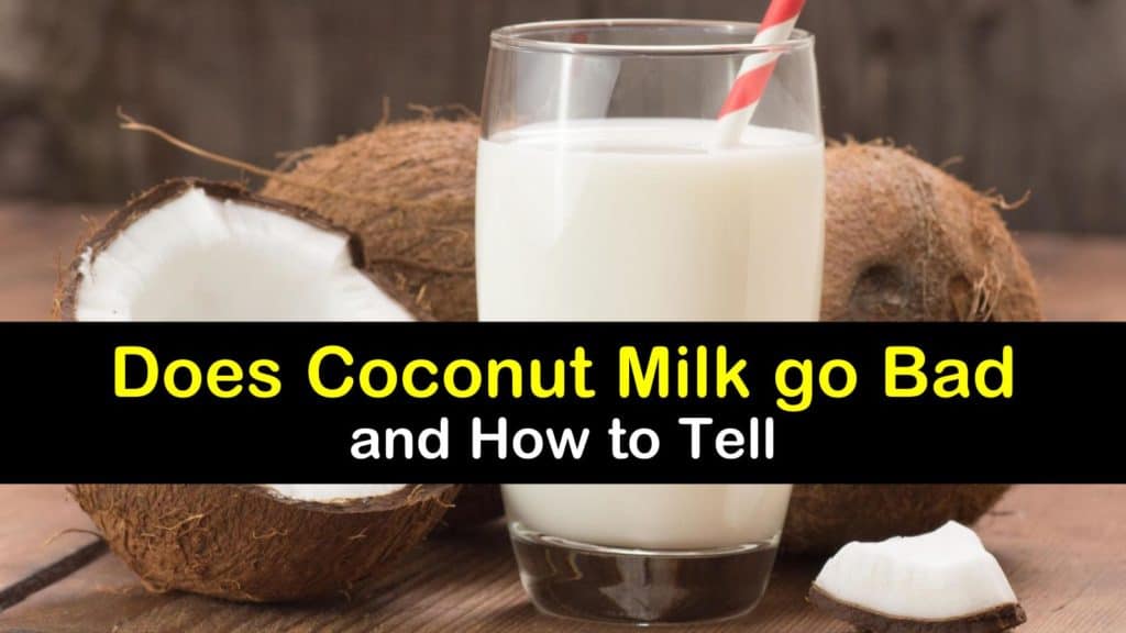 Does Coconut Milk go Bad titleimg1