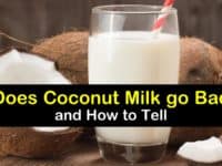 Does Coconut Milk go Bad titleimg1