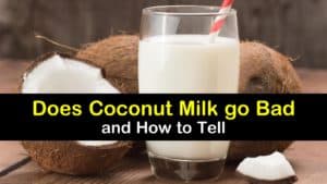 Does Coconut Milk go Bad titleimg1