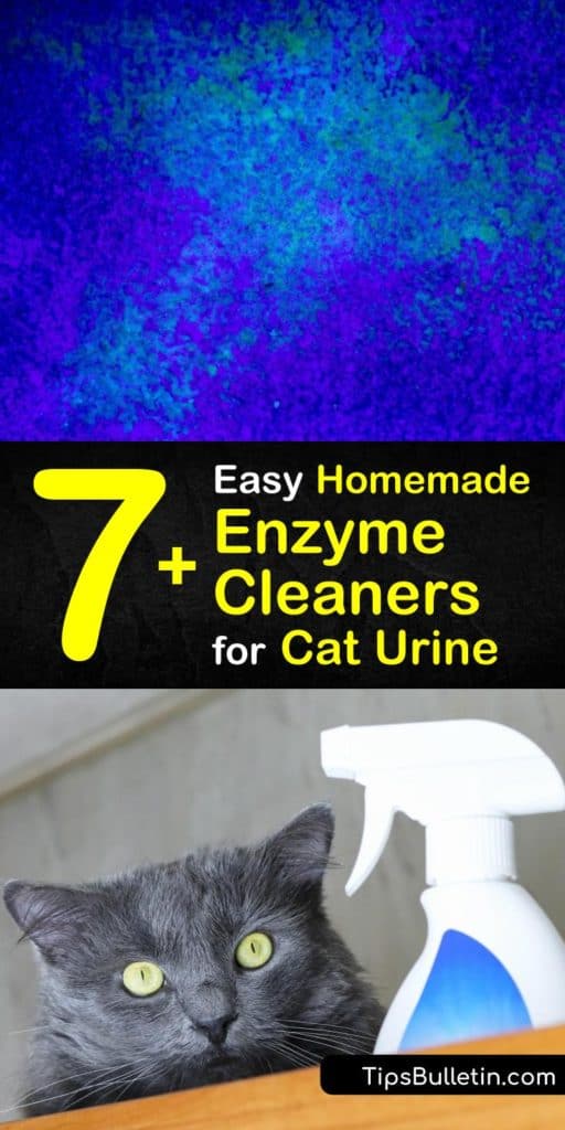 Discover how to make a homemade enzyme cleaner to get rid of cat pee stains in your home. Sometimes cats refuse to use the litter box and a DIY carpet cleaner is the best way to remove urine stains and cat urine smell. #homemade #enzyme #cleaner #cat #urine