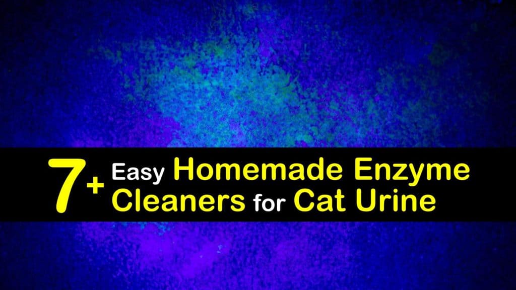 Homemade Enzyme Cleaner for Cat Urine titleimg1