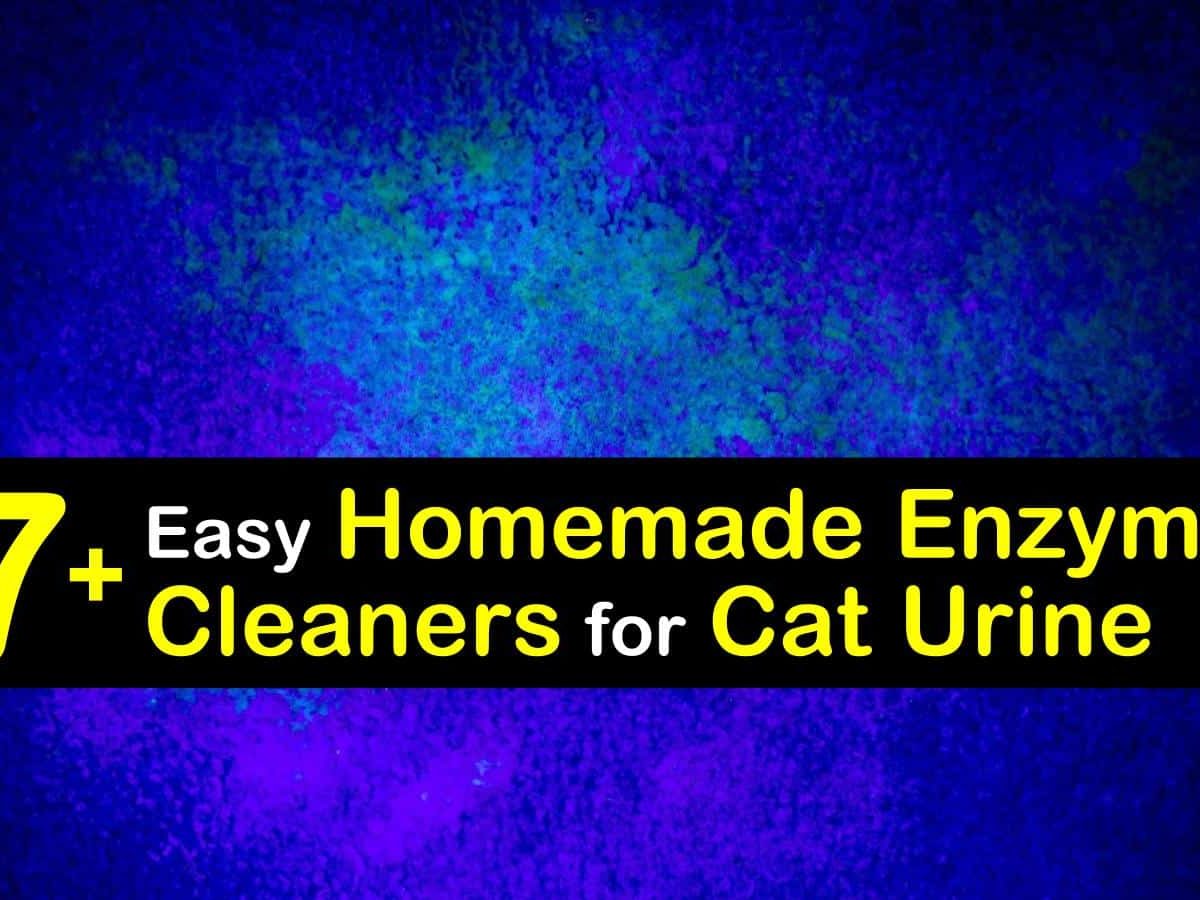 Easy Homemade Enzyme Cleaners For Cat Urine