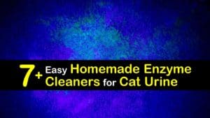 Homemade Enzyme Cleaner for Cat Urine titleimg1