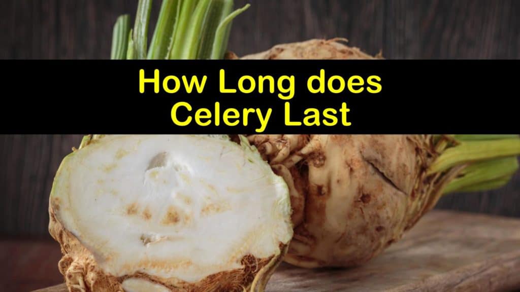 How Long does Celery Last titleimg1