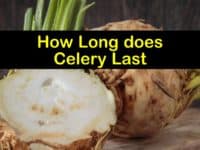 How Long does Celery Last titleimg1