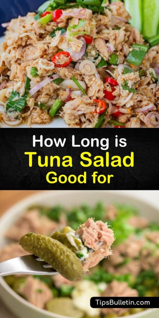 Toss your canned tuna, lemon juice, red onion, and black pepper together to make the tastiest tuna fish sandwich and learn how to extend its shelf life. Make mayo-based recipes like chicken salad, egg salad, and tuna salad last longer when you store them properly in the fridge. #tuna #salad #last