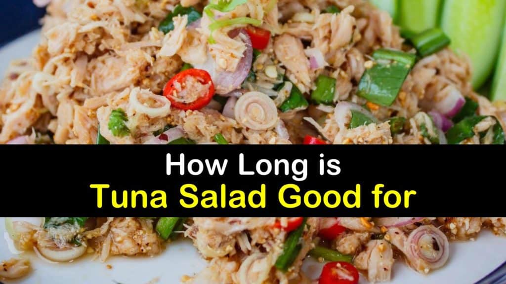 How Long is Tuna Salad Good for titleimg1