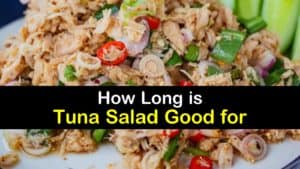 How Long is Tuna Salad Good for titleimg1