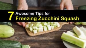 How to Freeze Zucchini Squash titleimg1