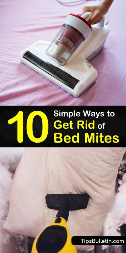 Discover some of the simplest strategies that kill dust mites and bed bugs. It’s as easy as vacuuming your carpeting, buying washable pillow cases, spraying essential oils, and using a dehumidifier with a HEPA filter to get rid of bed mites for good. #getridof #bed #mites